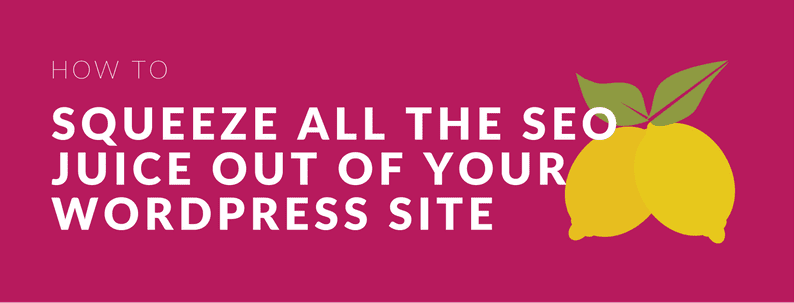 Squeeze all the SEO juice out of your wordpress site